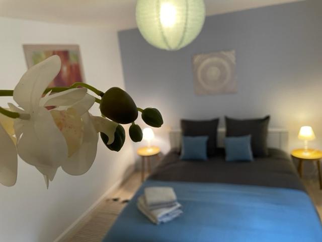 Appartement Cosy Hyper Centre Châteauroux Buitenkant foto